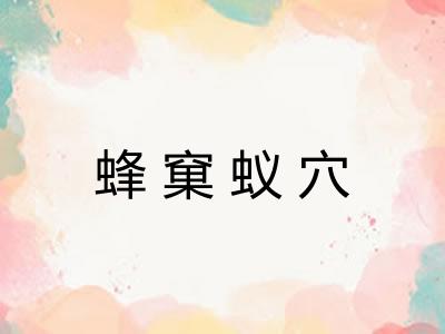 蜂窠蚁穴