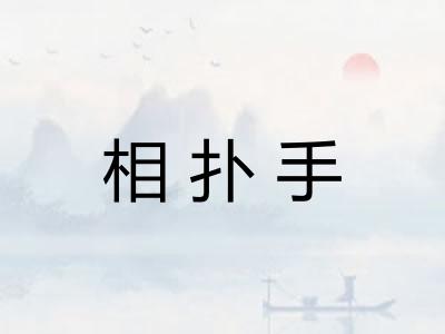 相扑手