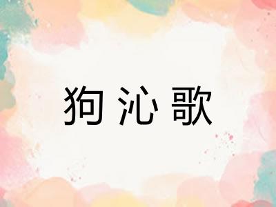 狗沁歌