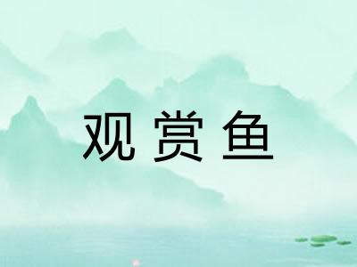 观赏鱼