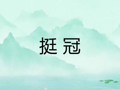 挺冠