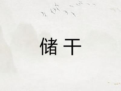 储干