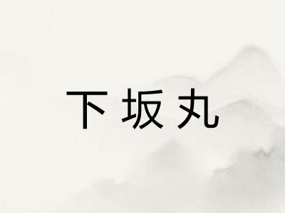 下坂丸