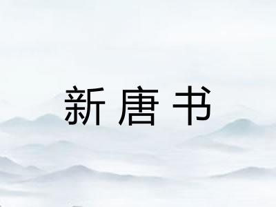 新唐书
