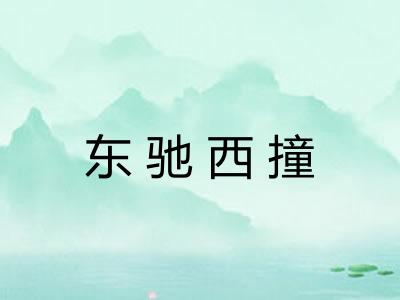 东驰西撞