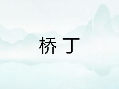 桥丁