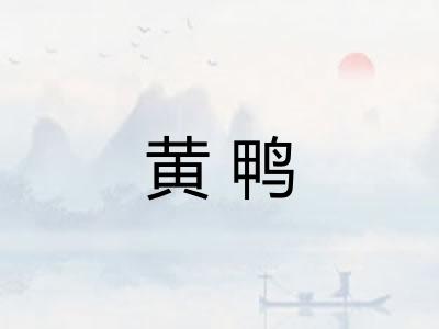 黄鸭