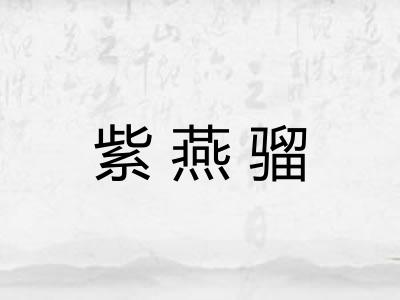 紫燕骝
