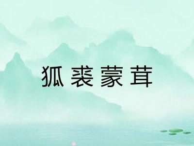 狐裘蒙茸