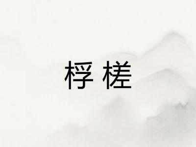 桴槎