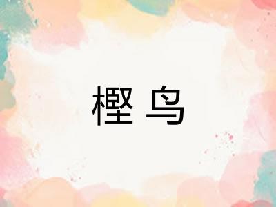 樫鸟