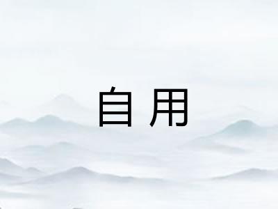 自用