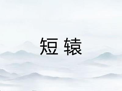 短辕