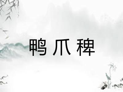 鸭爪稗