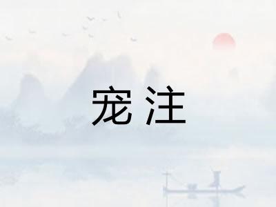 宠注