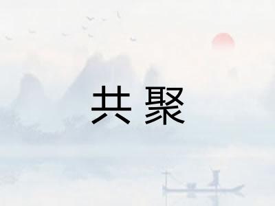 共聚