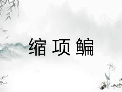 缩项鳊
