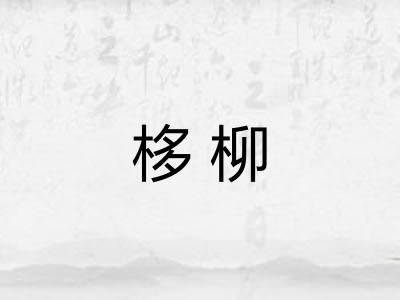 栘柳