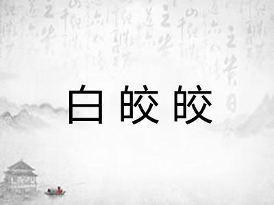 白皎皎