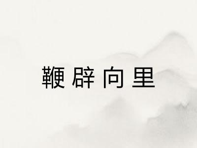 鞭辟向里
