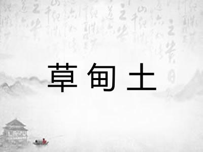 草甸土