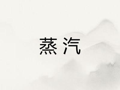 蒸汽