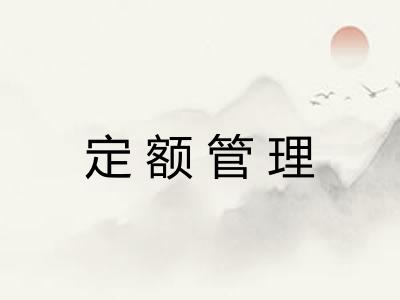 定额管理