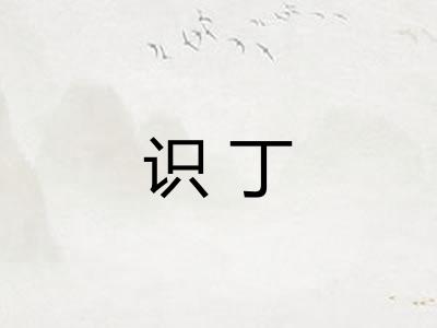 识丁