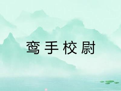 鸾手校尉