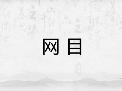网目