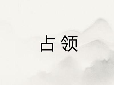 占领