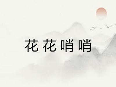 花花哨哨