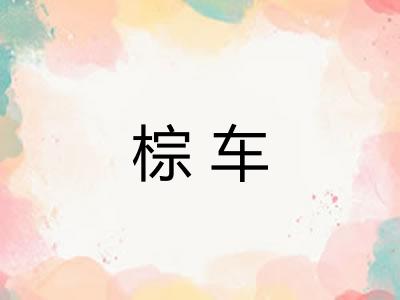 棕车
