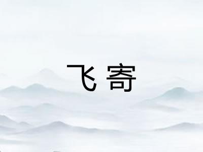 飞寄