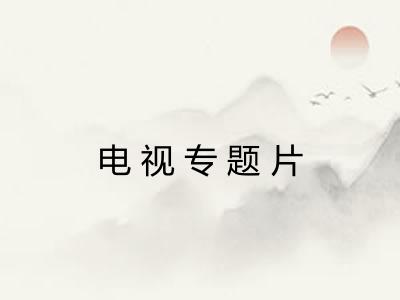 电视专题片