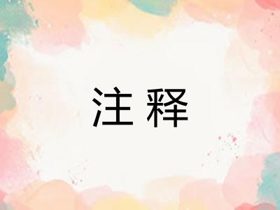 注释
