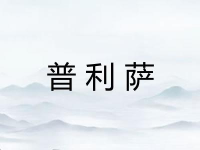 普利萨
