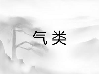 气类