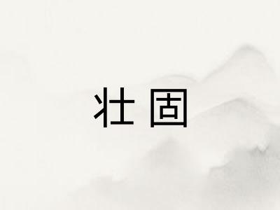 壮固