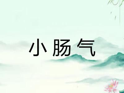 小肠气