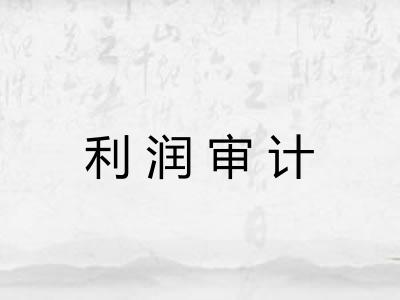 利润审计
