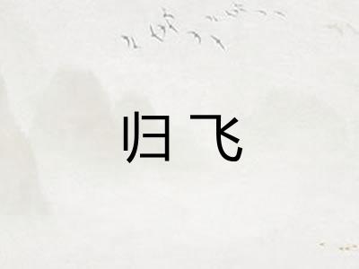 归飞