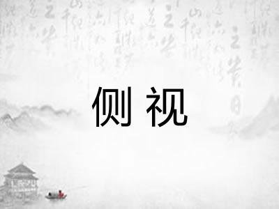 侧视