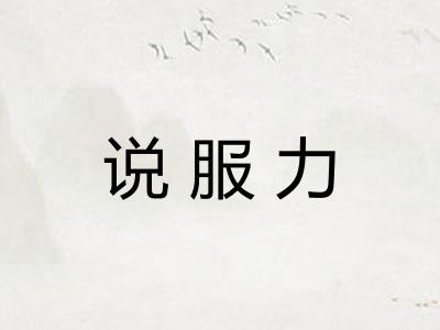 说服力