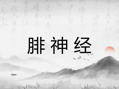 腓神经