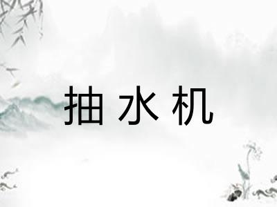 抽水机