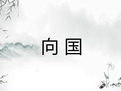 向国