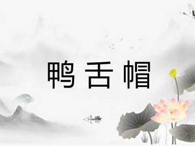鸭舌帽