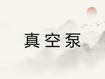 真空泵