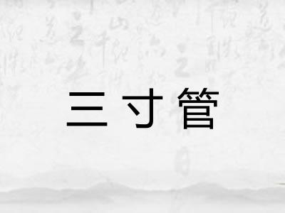 三寸管